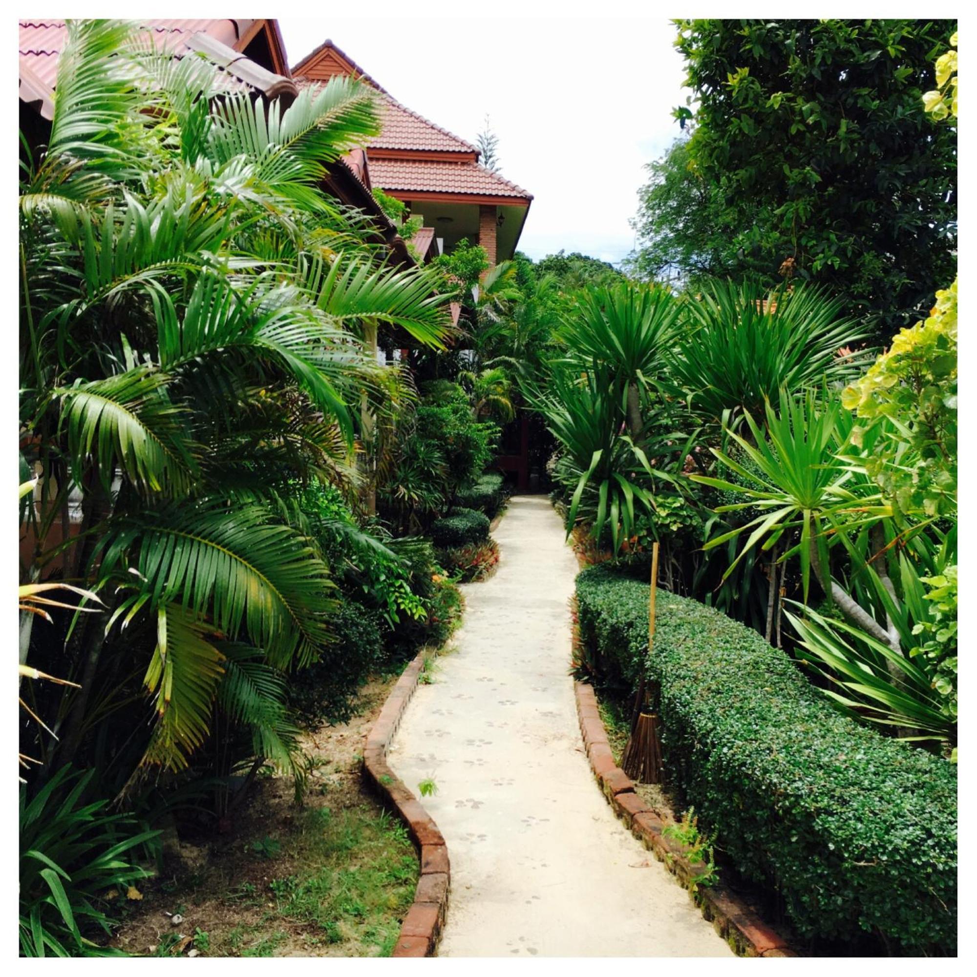 Jungle Hut Bungalows & Hotel Haad Chao Phao Exterior photo